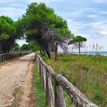 Amazing Sea View *